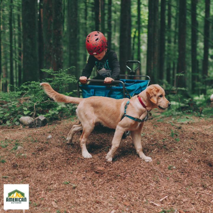 Push and Pull Wagons Make Family Camping Easier