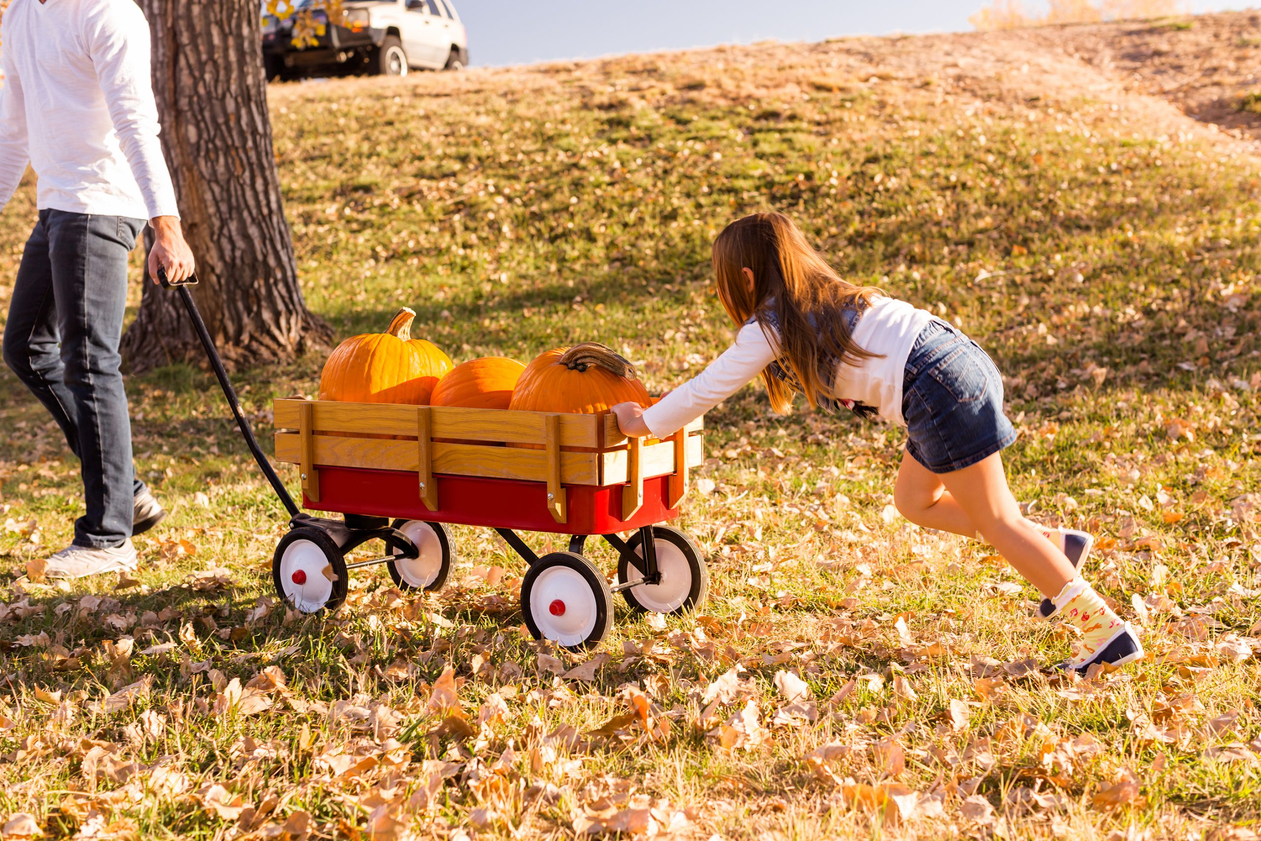 Why You Should Choose Our Push and Pull Wagons for Your Everyday Needs
