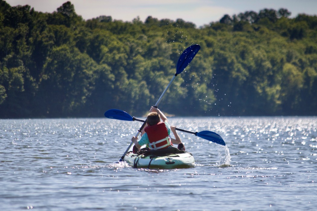 If-you-wish-to-make-the-most-of-your-camping-trip-with-foldable-wagons-here-are-some-fun-activities